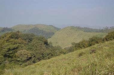 Periyar N.P., Thekkadi_DSC7363_H600